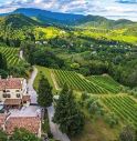 Un tour per vivere il vino a 360°