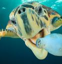 Pulizia delle spiagge italiane, Valigeria Roncato lancia il progetto Beach Cleaning