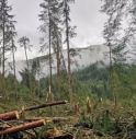 Comunità Buddista impegnata nel recupero dei boschi delle Dolomiti