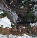 Cavalli spaventati precipitano in un dirupo, morti 18 animali