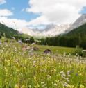 Enogastronomia, la Strada del vino e dei sapori del Trentino forma ambasciatori di eccellenze.