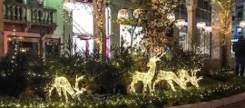 Treviso accende le luci del Natale Incantato, Oggi Treviso, News