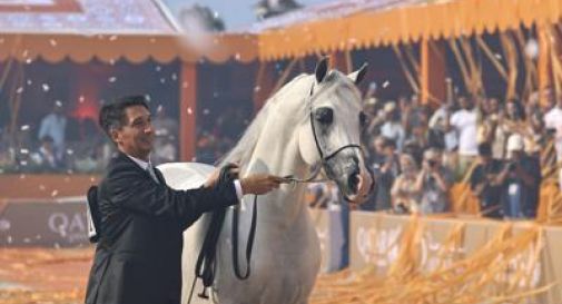 Roma, confermato il Global Champions Arabians Tour al Circo Massimo.