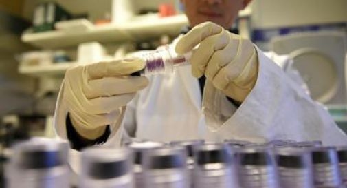 Doping: indagine, inaccettabile per 90% atleti over 35 ma accettabile per 12% over 70.