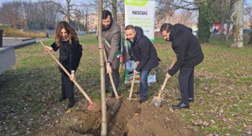 Sostenibilità, PiantiAmo il futuro: 200 alberi a Ferrara con il progetto di Nescafé.