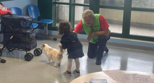 Al Niguarda e Fatebenefratelli Milano Cat Therapy per mille bambini.