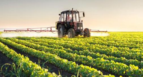 Osservatorio Enpaia-Censis del mondo agricolo, 70% italiani favorevole a lavorare oltre età pensionamento.