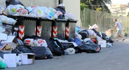 Caldo e sporcizia paradiso per le blatte, padrone delle città nelle notti d'estate.