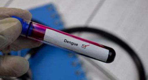 Dengue, da studio 'bussola' per anticipare in Italia possibili focolai.