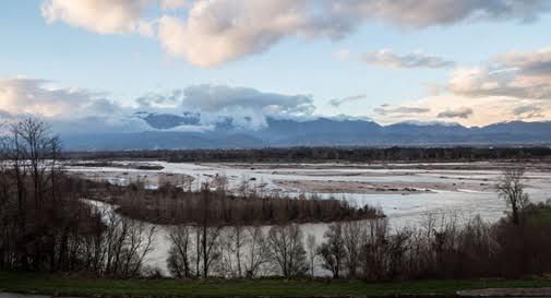 Oltre 1500 firme raccolte per salvare il Piave