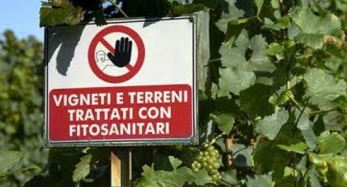 pesticidi sui vigneti