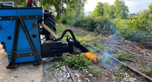 Pirodiserbo lungo la Tradotta a Montebelluna