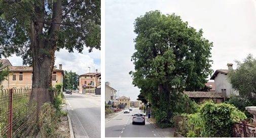 bagolaro via Bergamo