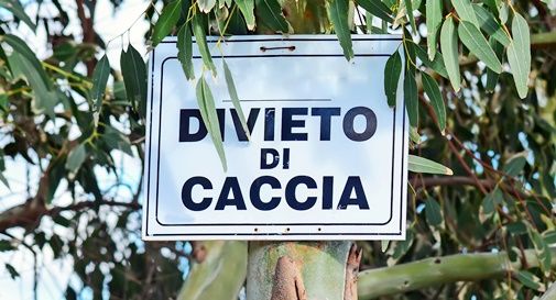 divieto di caccia