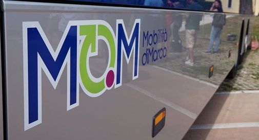 Mom, azienda di trasporto marca trevigiana