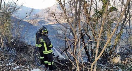 Incendi boschivi: è allerta in regione, anche a Treviso