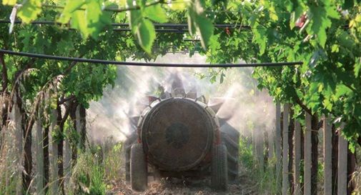 “Stop pesticidi per fare pace con la natura”: flash Mob Wwf per l'agricoltura sostenibile