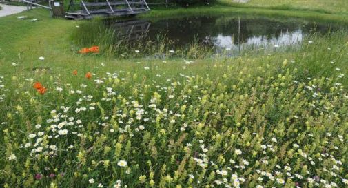 Apre anche il Giardino Botanico del Cansiglio