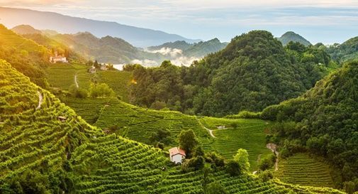 Un itinerario Unesco nei territori del Prosecco