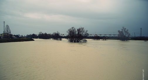 Foto di Carlo Verardo