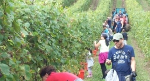 La festa della Vendemmia sulle colline del prosecco