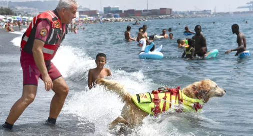 Nelle spiagge del Veneto orientale gli 'health and rescue day'