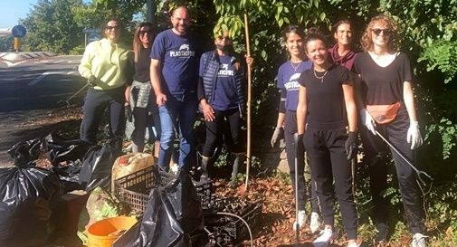 Coltivare semi di cannabis in giardino e terrazzo è legale?, Oggi Treviso, News