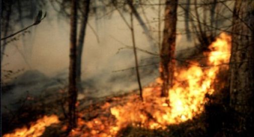 Principio di incendio al Parco del Piave