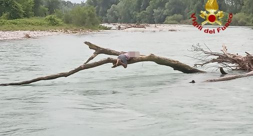 Tentano di attraversare il fiume ma rimangono bloccati