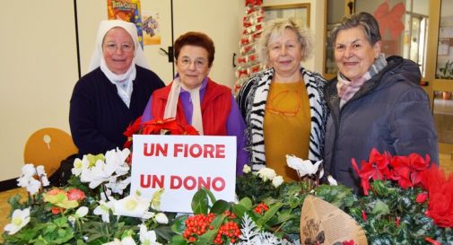 Un fiore, un dono per Giulia: la scuola di Vigonovo accoglie l'idea del papà 