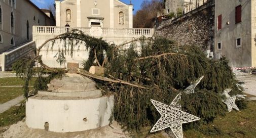 Segato in due l'albero di Natale della piazza