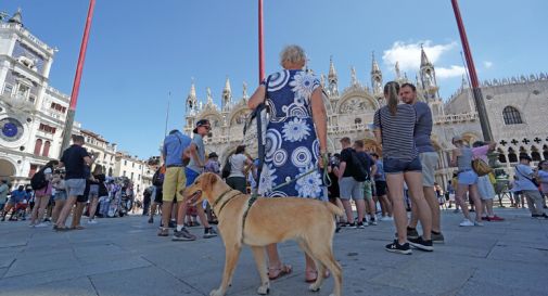 'Ticket Venezia un fallimento, arrivano più turisti'  