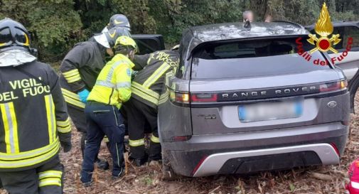 Ancora un incidente con un cervo: una bimba rimane ferita 