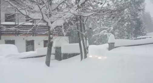 Nevicate in Veneto, quasi mezzo metro sull'altopiano di Asiago