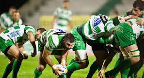 Heineken Cup / Leoni contro Tigri