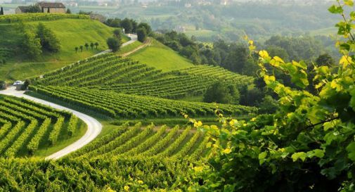 Colline del Prosecco patrimonio dell'umanità, arrivata la prima bocciatura