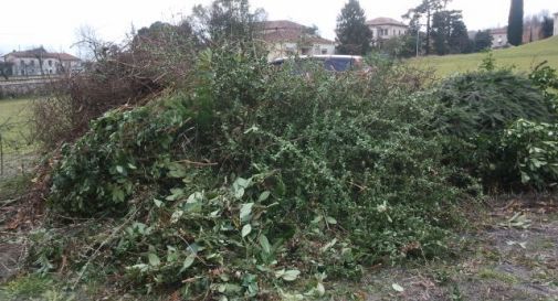 Forti odori a Motta di Livenza e Ponte di Piave, cittadini sul piedi di guerra