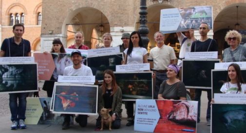 Vegani in piazza per difendere gli animali