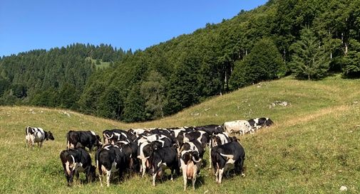 Monte Grappa