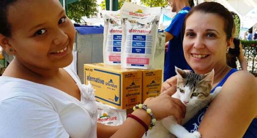 200 cani e 800 gatti cercano famiglia, un'occasione per adottarli