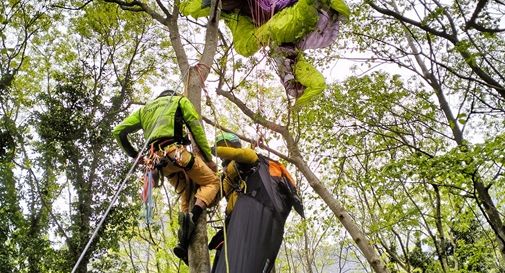 Parapendista precipita e rimane impigliato su un albero: salvo