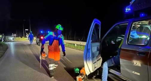 Vento forte, gli alberi finiscono in strada