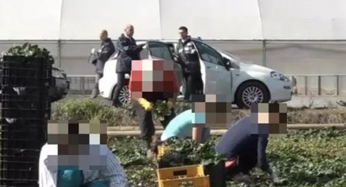 Schiavizzavano 33 braccianti: arrestati i due 