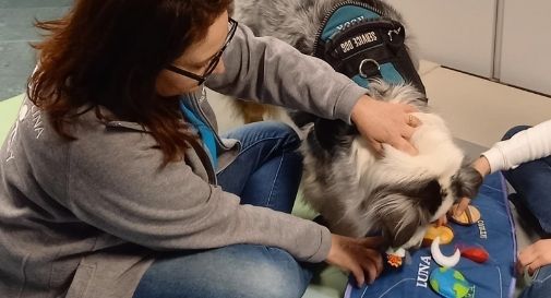 Onlus Carolina Treviso pet-therapy