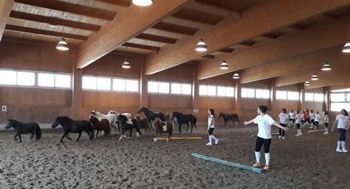 Il cavallo per gli sportivi