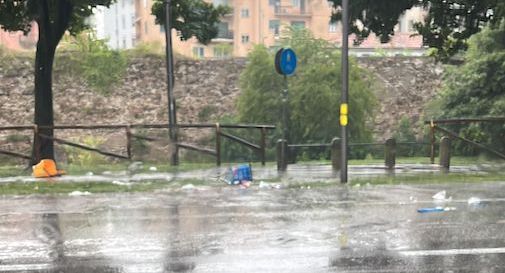 Pioggia forte e raffiche di vento a Treviso: alberi caduti e strade  bloccate, Oggi Treviso, News