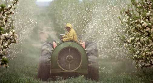 Pesticidi, "il Consorzio Docg predica bene ma razzola male" | Oggi ...