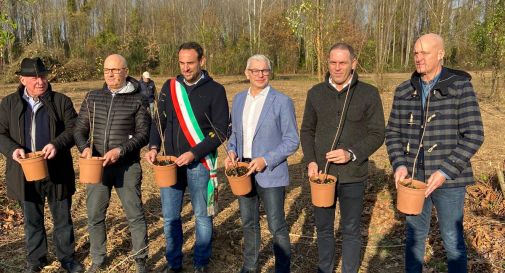 A Treviso un nuovo bosco urbano con 1500 alberi 