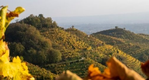 percorso storico naturalistico sulle colline prosecco Unesco