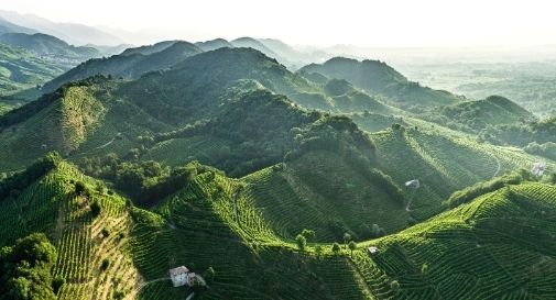 colline conegliano valdobbiadene prosecco superiore docg